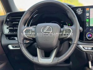 Xe Lexus RX 350 Luxury 2023