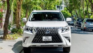 Xe Lexus GX 460 2010