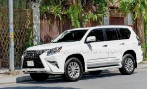 Xe Lexus GX 460 2010