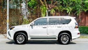 Xe Lexus GX 460 2010
