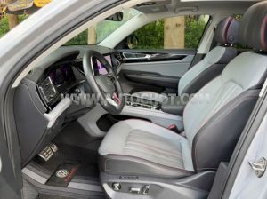 Xe Volkswagen Teramont X Platinum 2.0 AT 2024