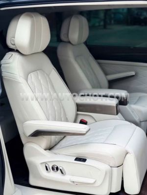 Xe Volkswagen Viloran Luxury 2024