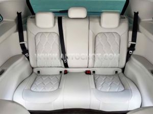 Xe Volkswagen Viloran Luxury 2024