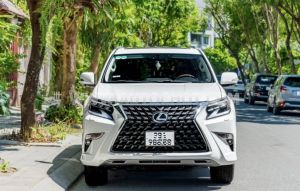 Xe Lexus GX 460 2010