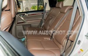 Xe Lexus GX 460 2010