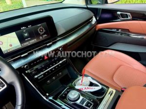 Xe Kia Carnival Signature 2.2D 2024