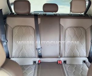Xe Volkswagen Viloran Luxury 2024