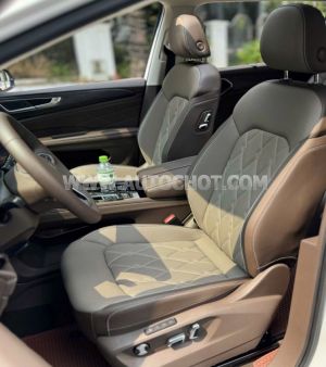 Xe Volkswagen Viloran Luxury 2024