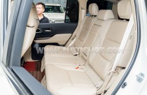 Xe Toyota Land Cruiser 3.5 V6 2024