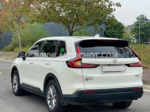 Xe Honda CRV L 2025