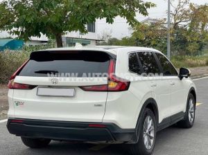 Xe Honda CRV L 2025