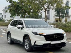 Xe Honda CRV L 2025