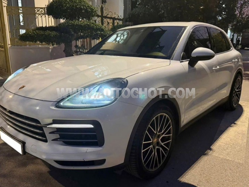 Xe Porsche Cayenne 3.0 V6 2018