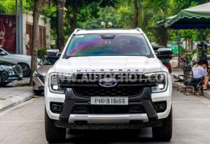Xe Ford Everest Wildtrak 2.0L 4x4 AT 2023