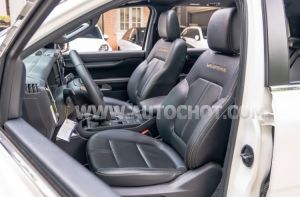 Xe Ford Everest Wildtrak 2.0L 4x4 AT 2023