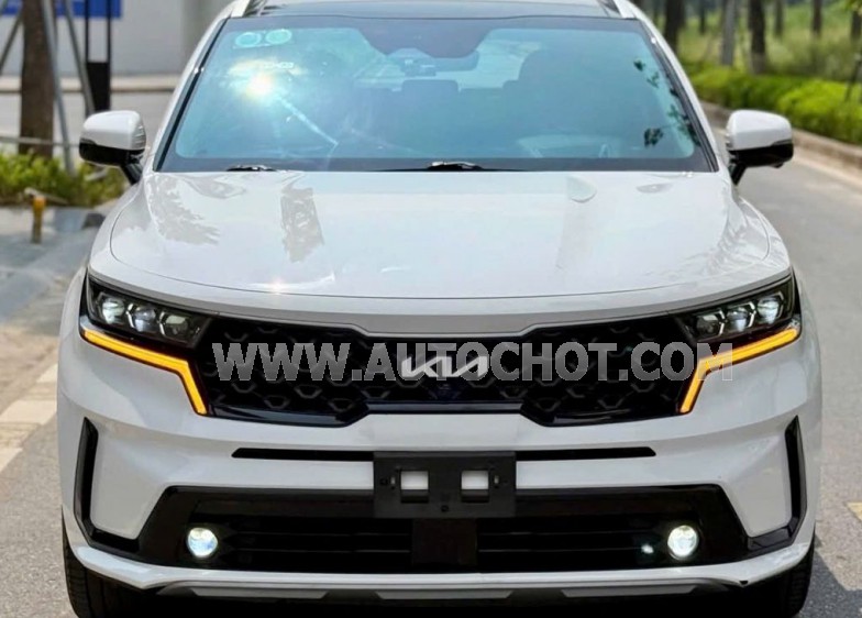 Xe Kia Sorento Signature 2.2 AT AWD 2024