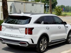 Xe Kia Sorento Signature 2.2 AT AWD 2024