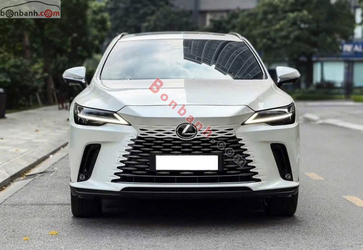 Xe Lexus RX 350 Premium 2024