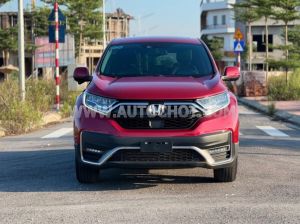 Xe Honda CRV L 2021