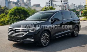 Xe Volkswagen Viloran Luxury 2025
