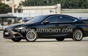 Xe Lexus ES 250 2023