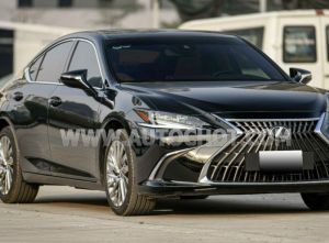 Xe Lexus ES 250 2023