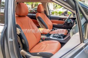 Xe Kia Carnival Signature 2.2D 2024