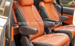 Xe Kia Carnival Signature 2.2D 2024
