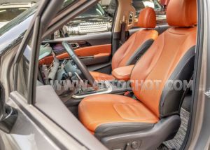 Xe Kia Carnival Signature 2.2D 2024