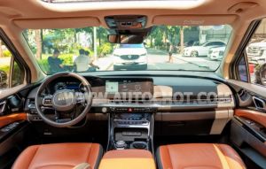 Xe Kia Carnival Signature 2.2D 2024